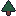 Scrub pine